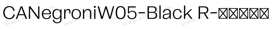 CANegroniW05-Black R字体转换